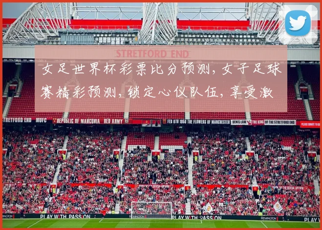 女足世界杯彩票比分预测,女子足球赛精彩预测,锁定心仪队伍,享受激情碰撞