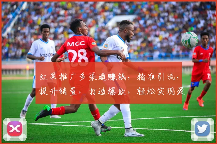 红果推广多渠道赚钱，精准引流，提升销量，打造爆款，轻松实现盈利